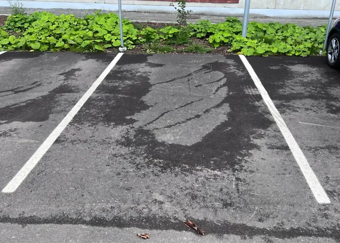 Lamminpaeae * تامبير