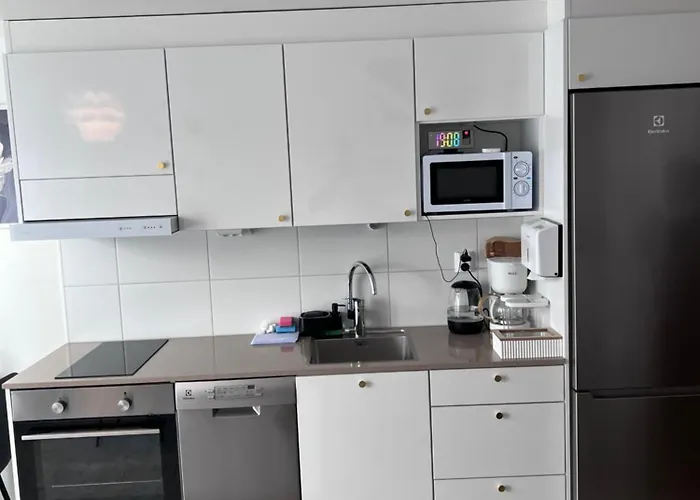 Lamminpaeae شقة تامبير