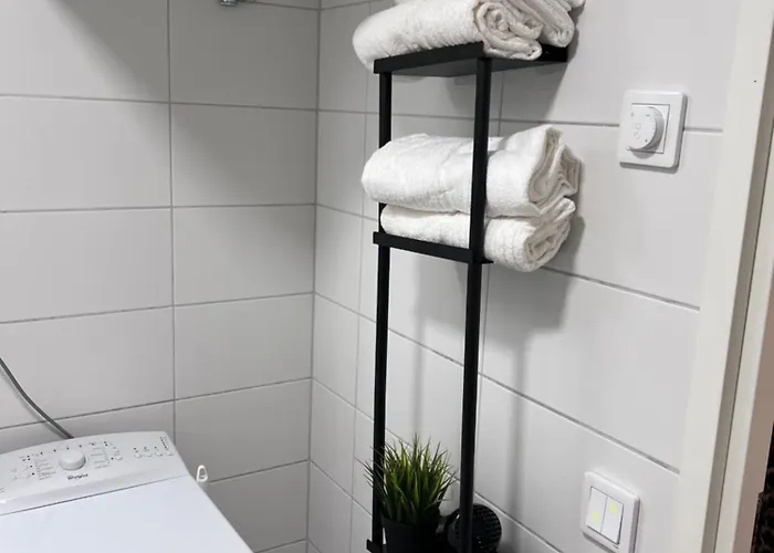 شقة Lamminpaeae *